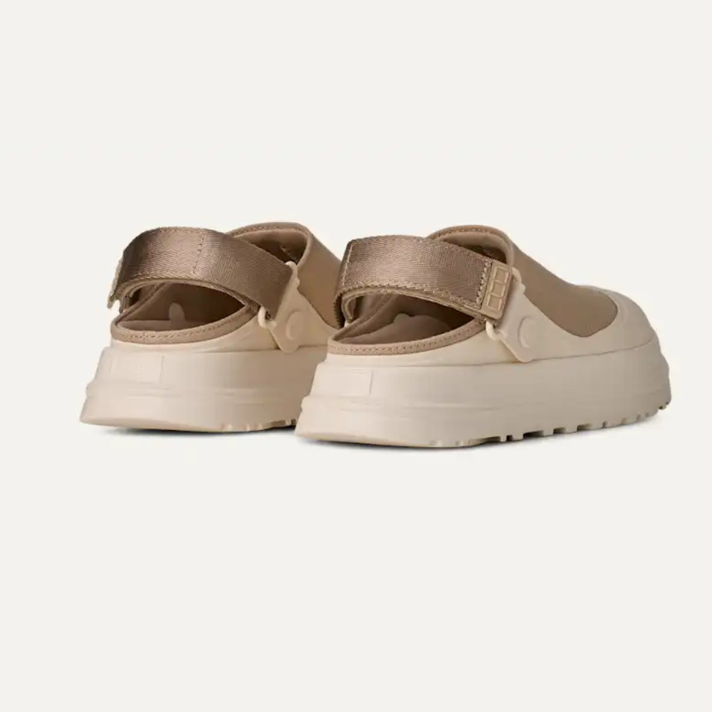 Sabot GoldenGlow Canvas